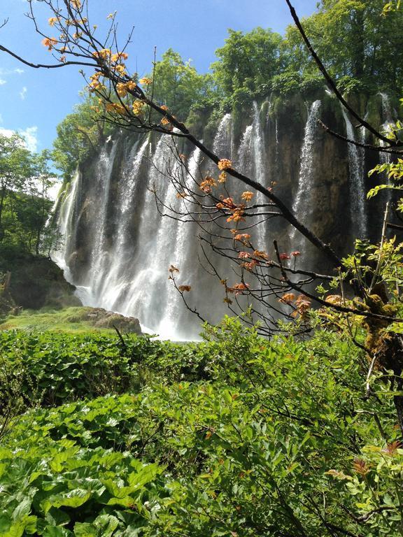 B&B Plitvice Lakes Villa Irene Селиште-Дрежничко Экстерьер фото